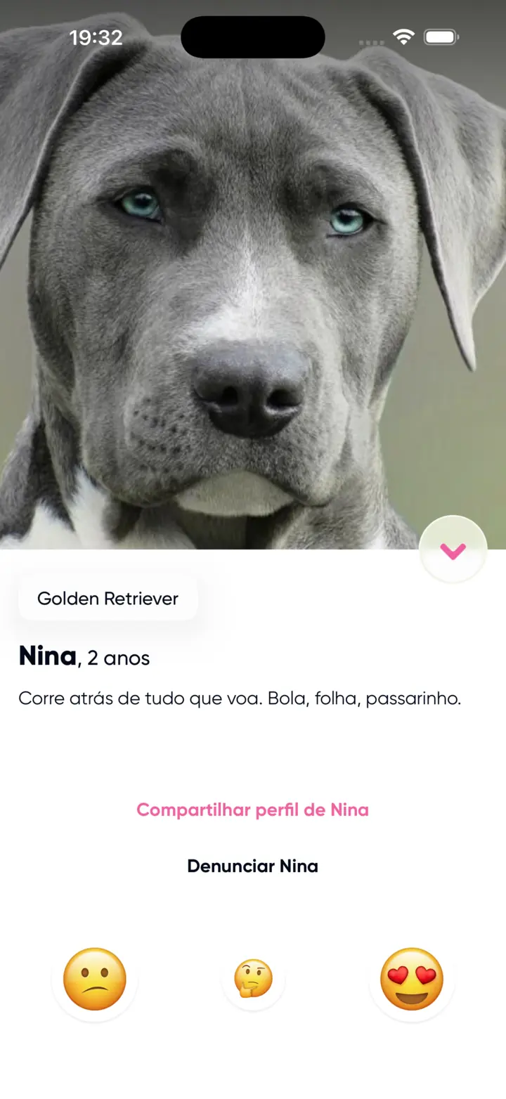 A dog's profile in Pegada, showing breed, age and a short bio under the photo.